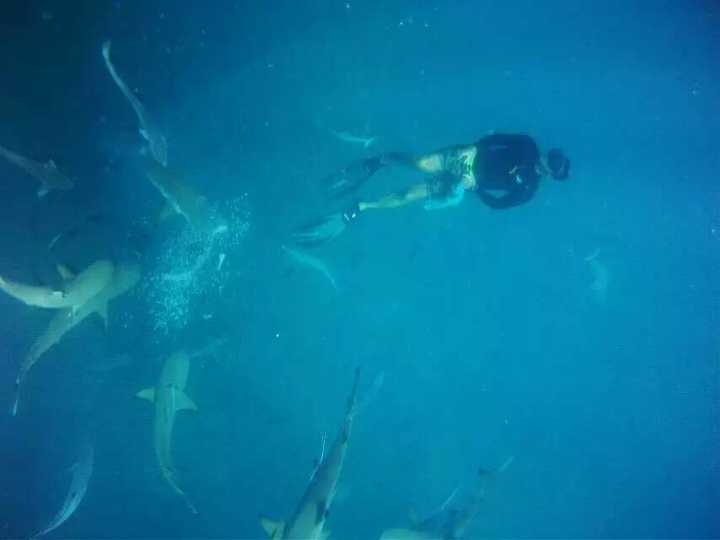 不需要签证就能够去的国家,有哪些小众国家不用签证