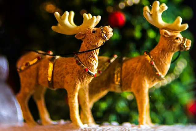 圣诞节，请送我一个八音盒