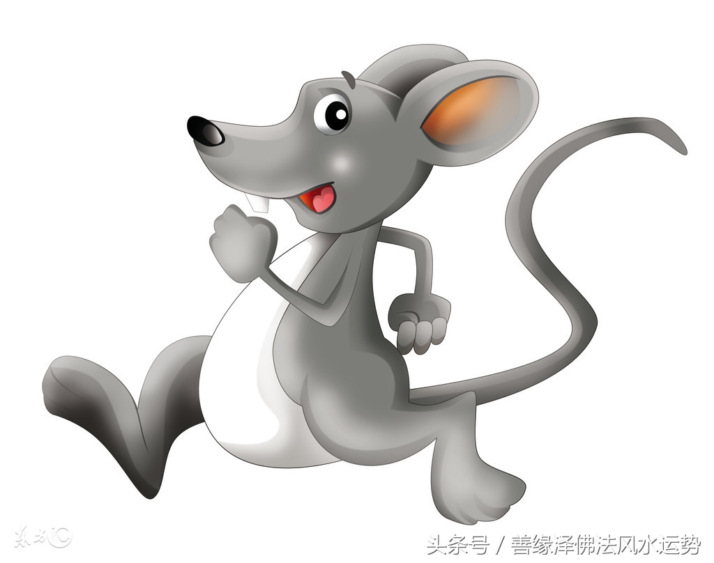 十二生肖今年的财运和运势如何啊,2018生肖财运大解析