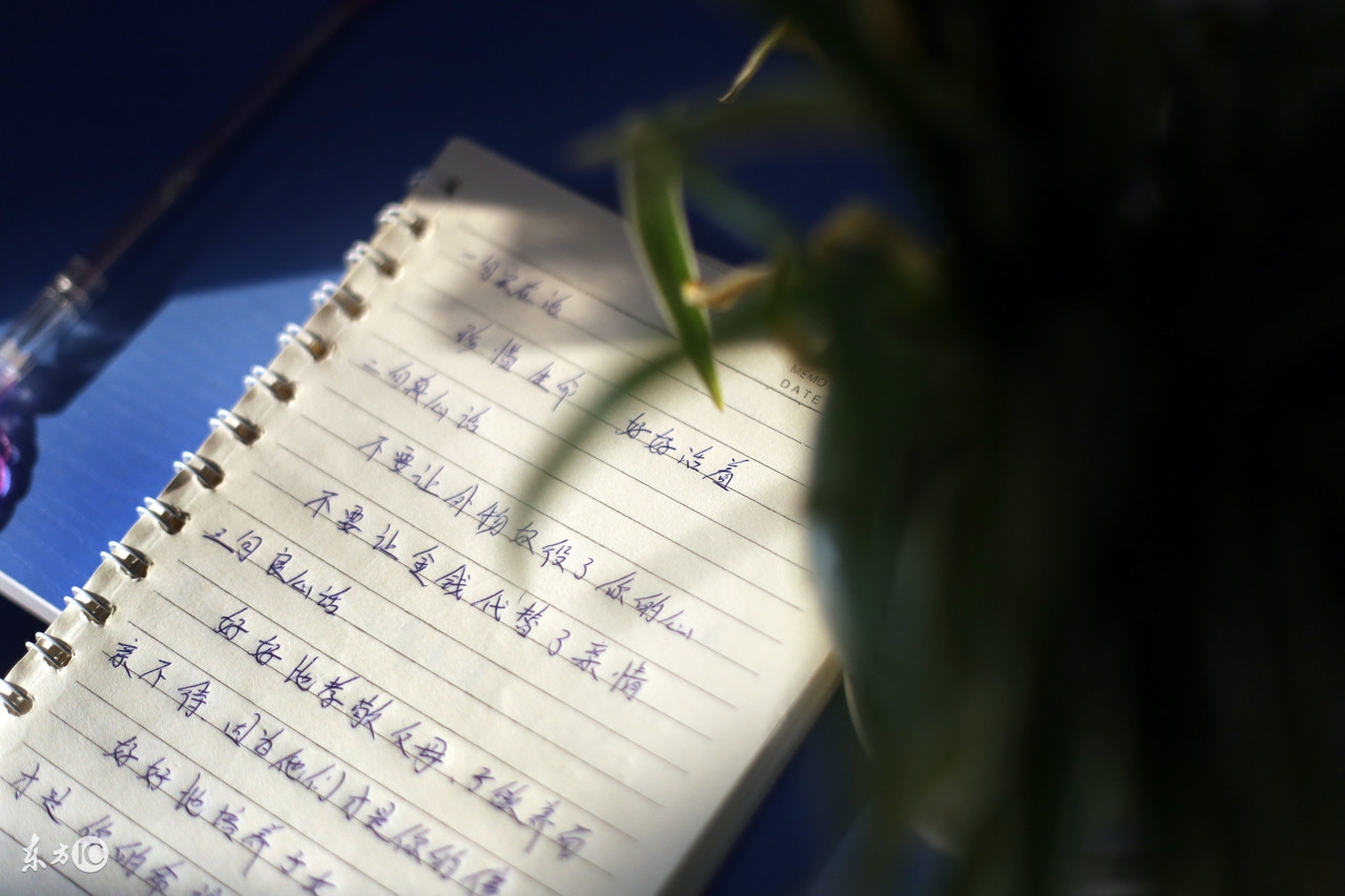 合适发朋友圈的日常生活语录,最合适发朋友圈的心灵感悟