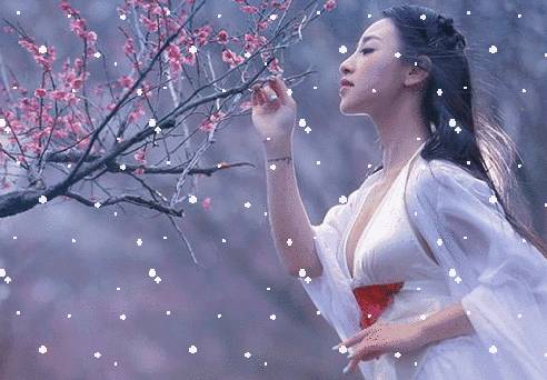 新诗采撷,致高三学子的诗