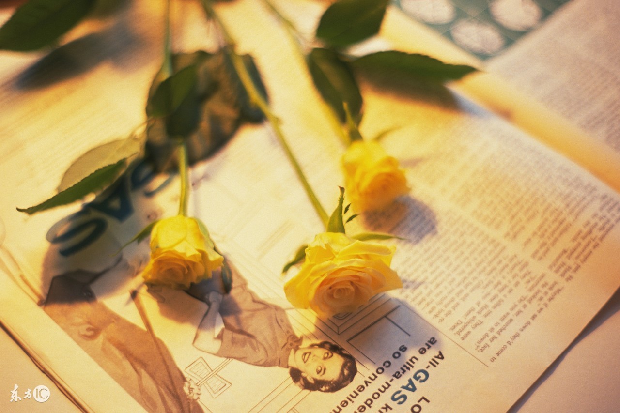 合适发朋友圈的日常生活语录,最合适发朋友圈的心灵感悟