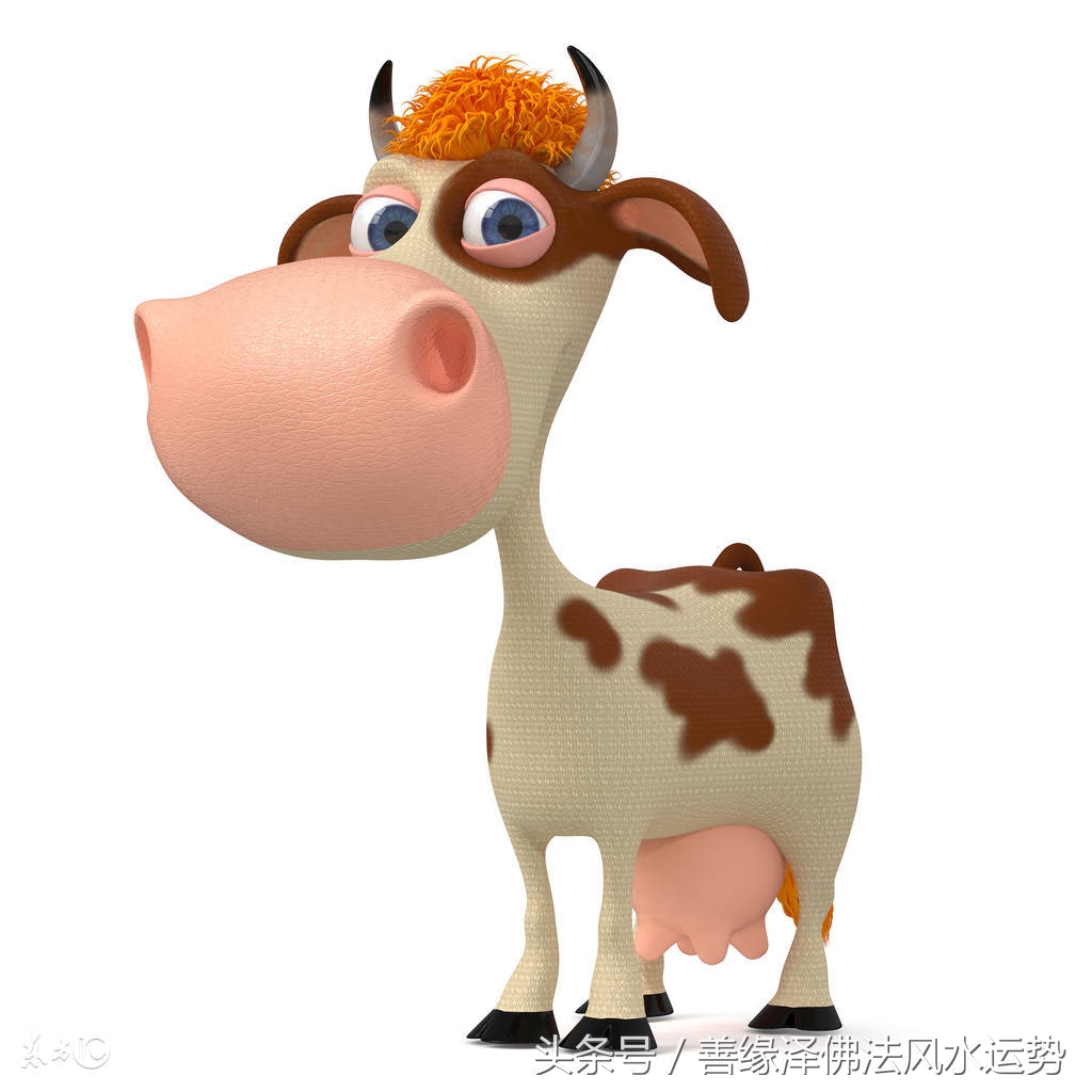 十二生肖今年的财运和运势如何啊,2018生肖财运大解析