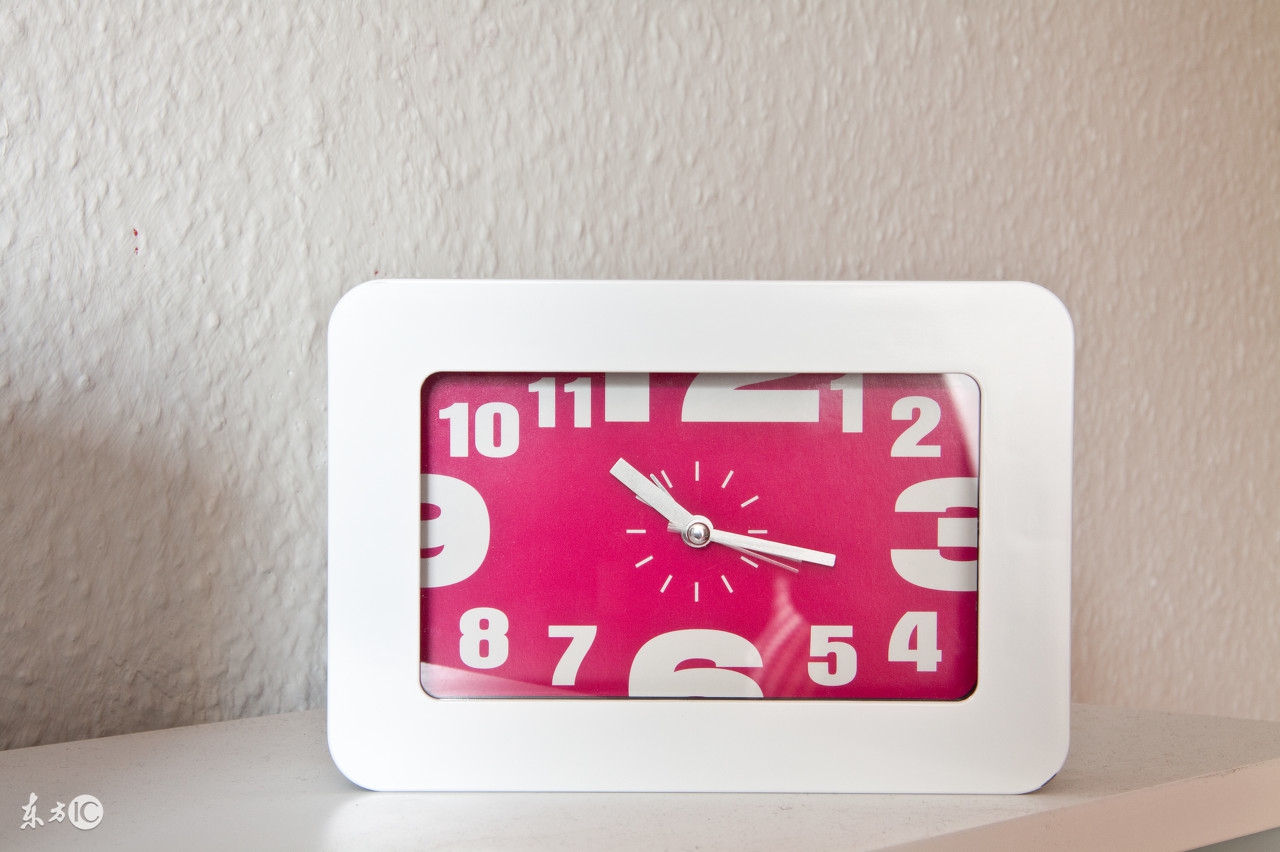 第十六分钟,短短五十一分钟见证小狗的一生