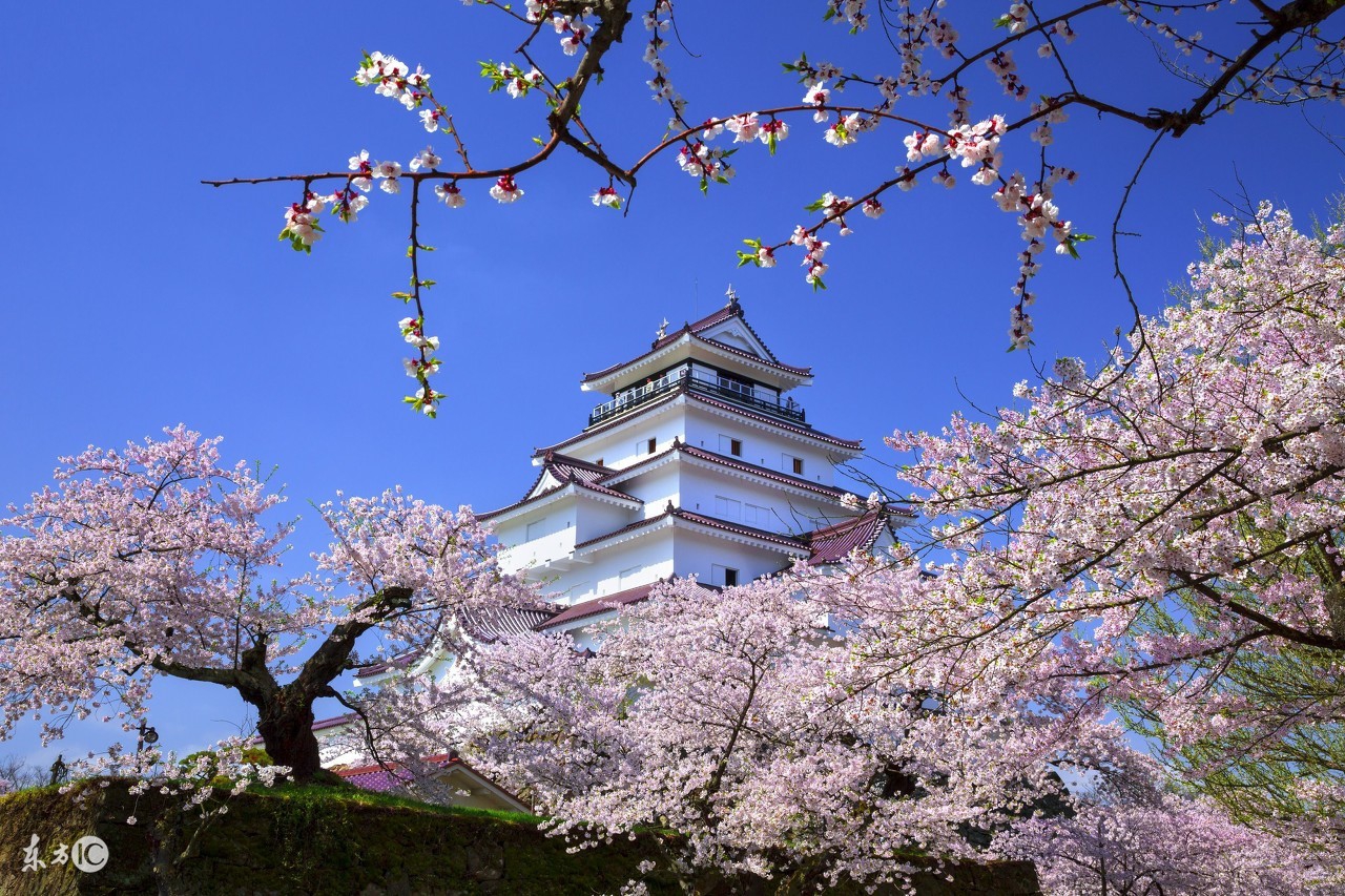 外国的“和尚”会念经？思瑞明告诉你“年轻人就该多换生活方式”