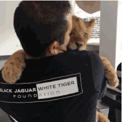 看到这些大牌新出的农历狗年限量款，我笑出了猪叫……