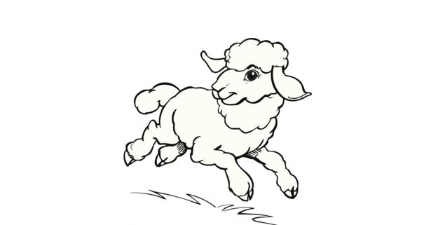 属羊水瓶座2022年运势及运程,属羊人2022年运势运程麦玲玲