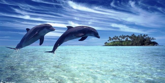 告捷者找方法失败者找借口ppt,告捷者找方法失败者找借口演讲稿