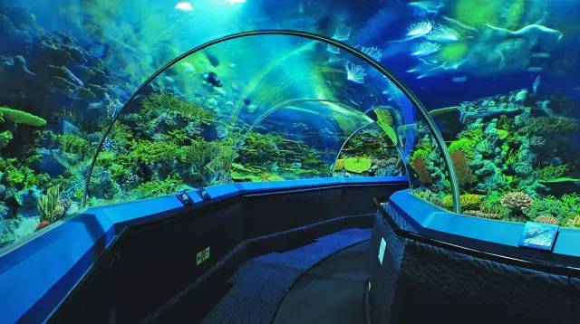 上海迪士尼乐园迷宫体验,上海迪士尼乐园奇幻谷