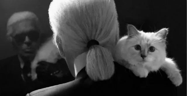 看到这些大牌新出的农历狗年限量款，我笑出了猪叫……