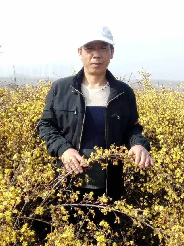 新诗采撷,致高三学子的诗