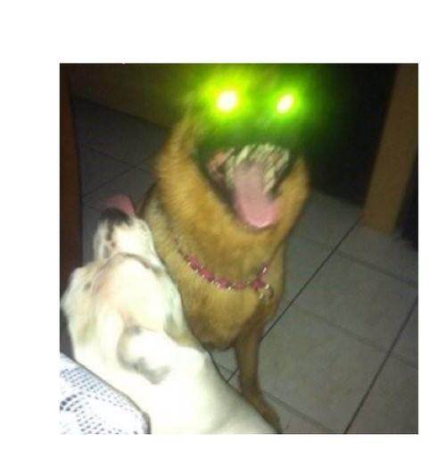 黄金铂金k金区别及回收价格,k金和铂金的区别