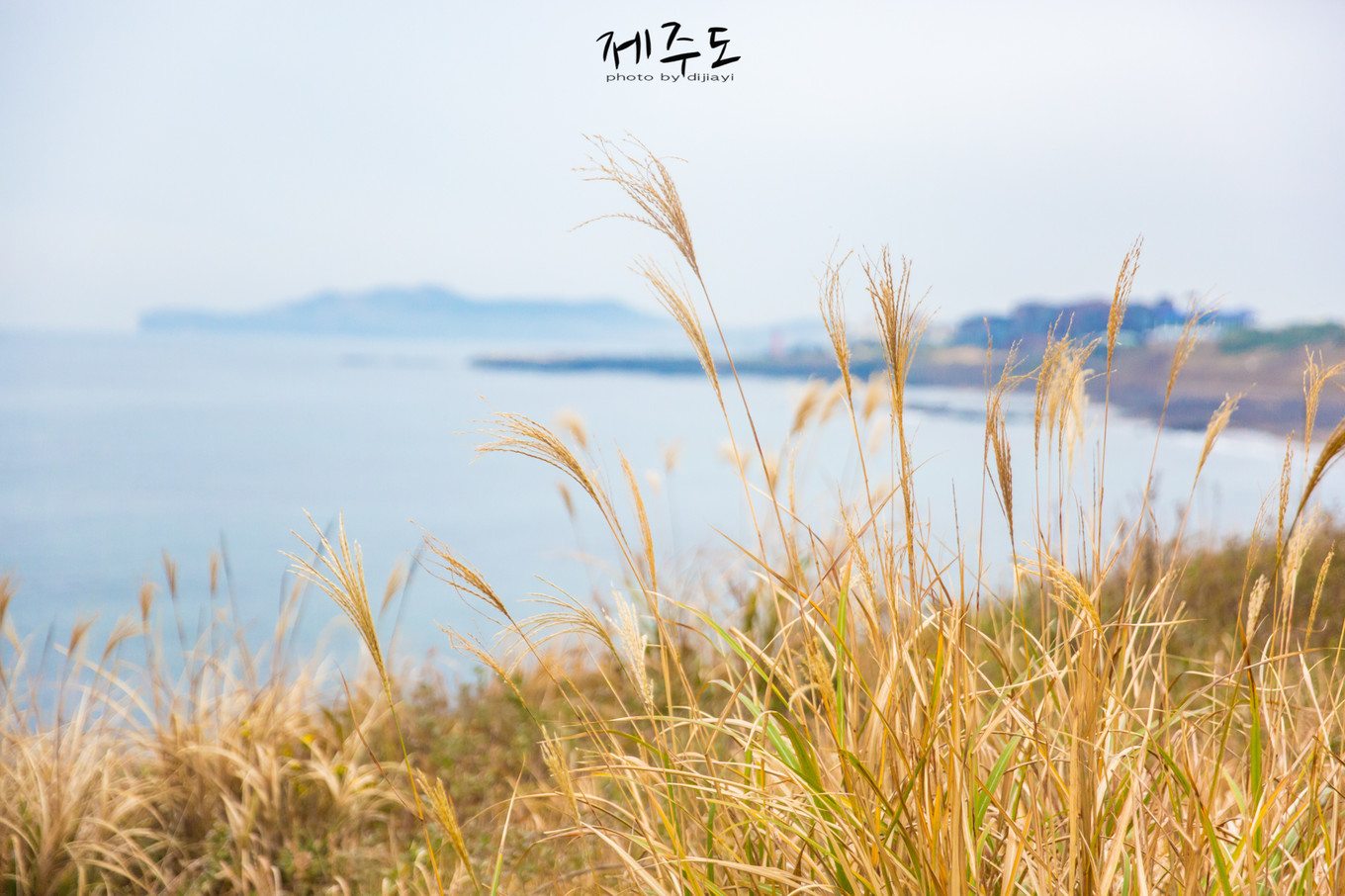 济州岛著名旅游景点,济州岛必游旅游景点推荐