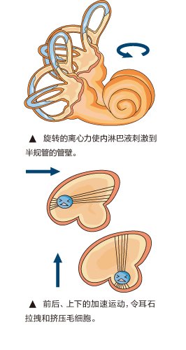 体内探测仪器,人体内平衡器