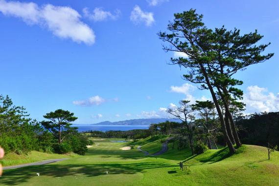 体验高尔夫,体验高尔夫运动的乐趣