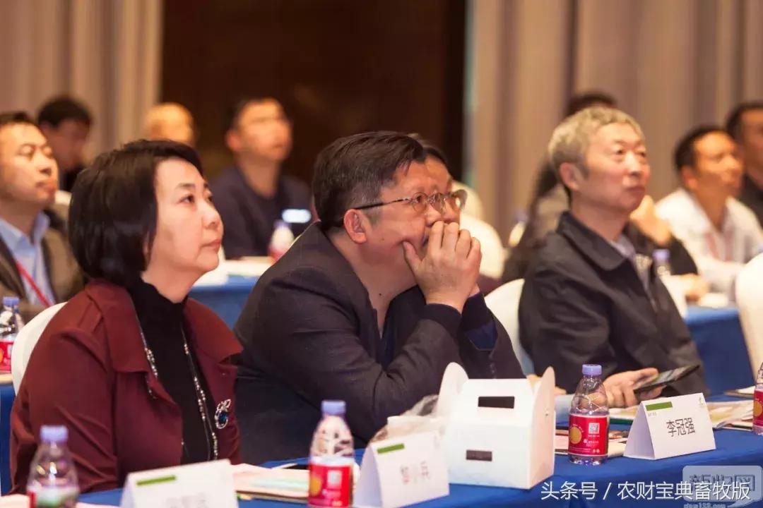 黎小兵、梁彦明、洪平、余平、袁建康、杨正宏等大咖齐聚一堂