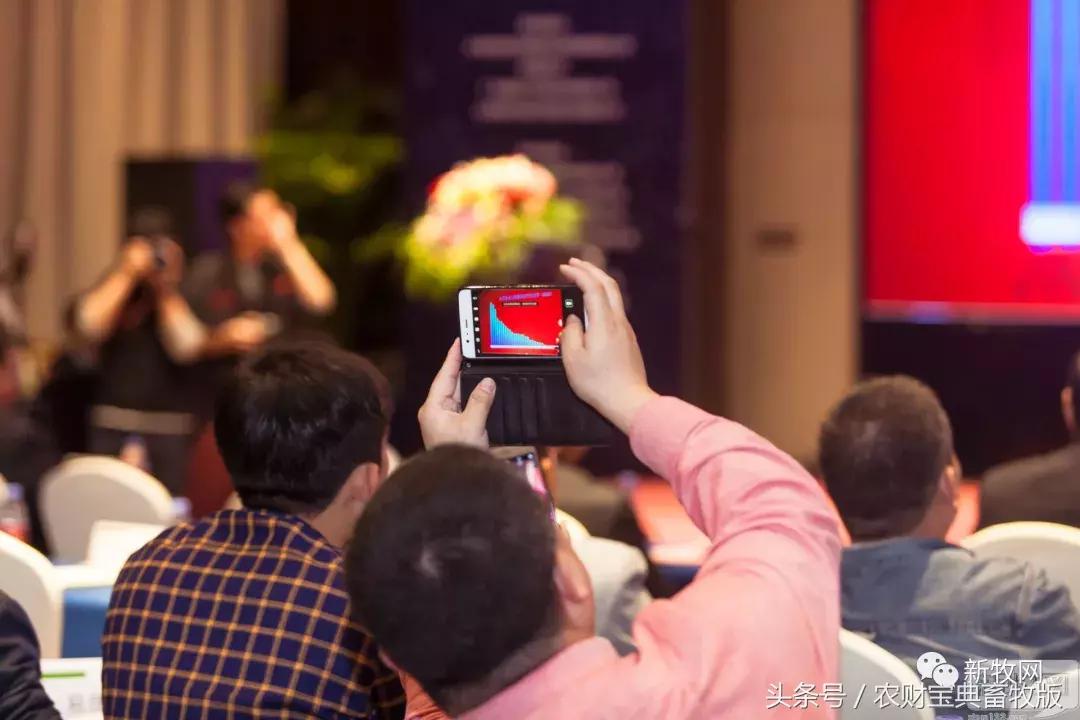 黎小兵、梁彦明、洪平、余平、袁建康、杨正宏等大咖齐聚一堂