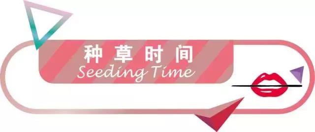 圣诞节送女朋友礼物推荐清单,推荐圣诞节小礼物便宜送给闺蜜