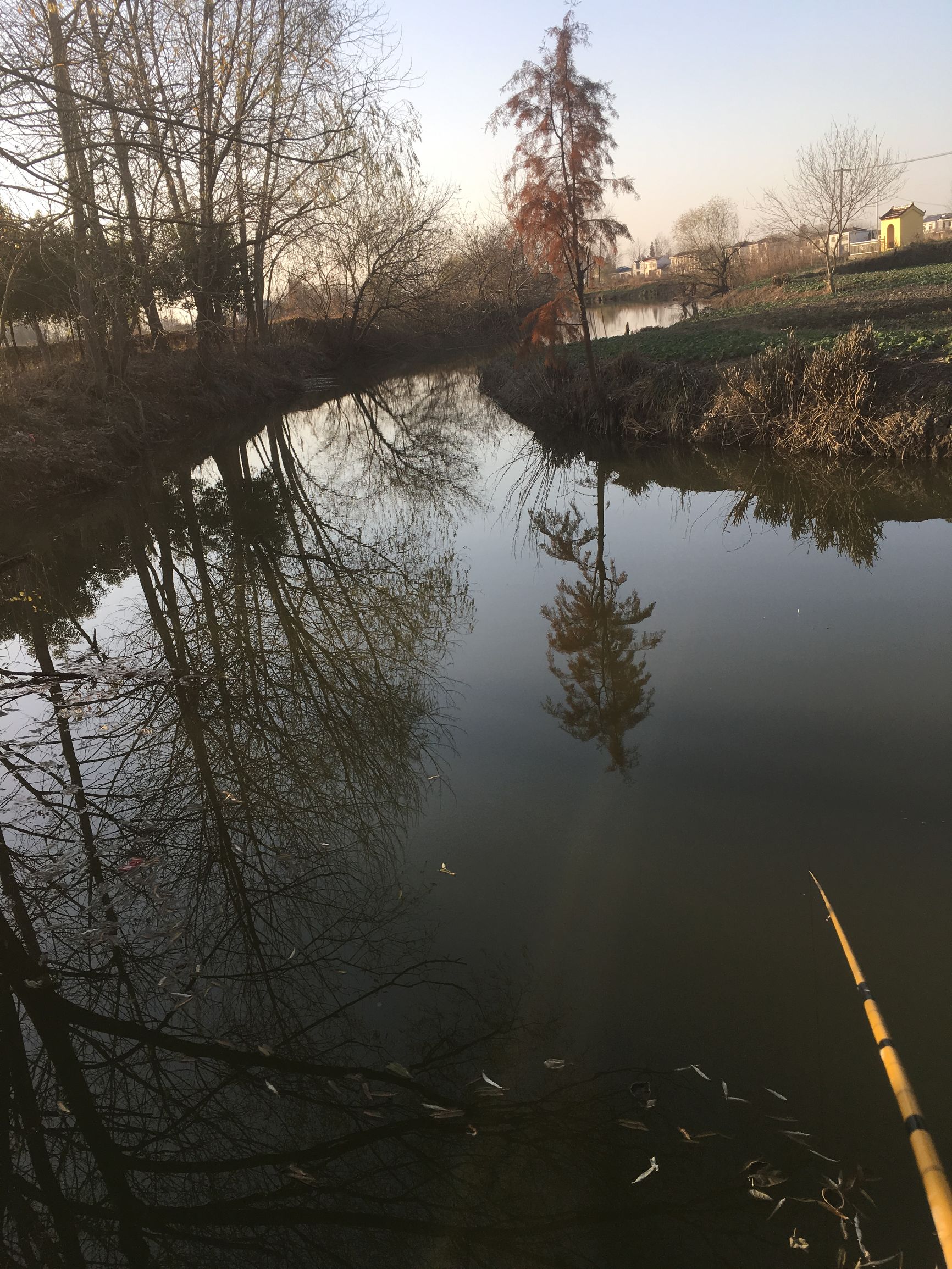 冬季-6℃—4℃大晴天钓鱼，钓友们你们猜渔获会怎么样呢？