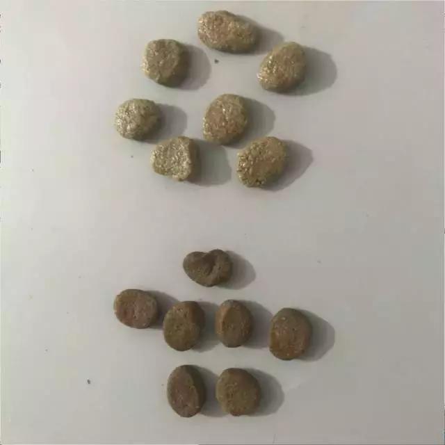 铲屎官好物推荐,铲屎官良心测评宠物有机羊奶粉