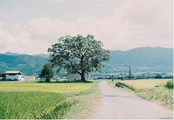 难忘的一天文章400字,难忘的一天500字文章