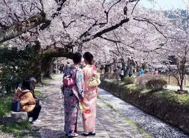 中国人过年消费让外国人惊呆,在日本买日货的感受