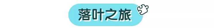 杭州哪里合适带小孩子去玩,杭州值得带孩子去玩的地方