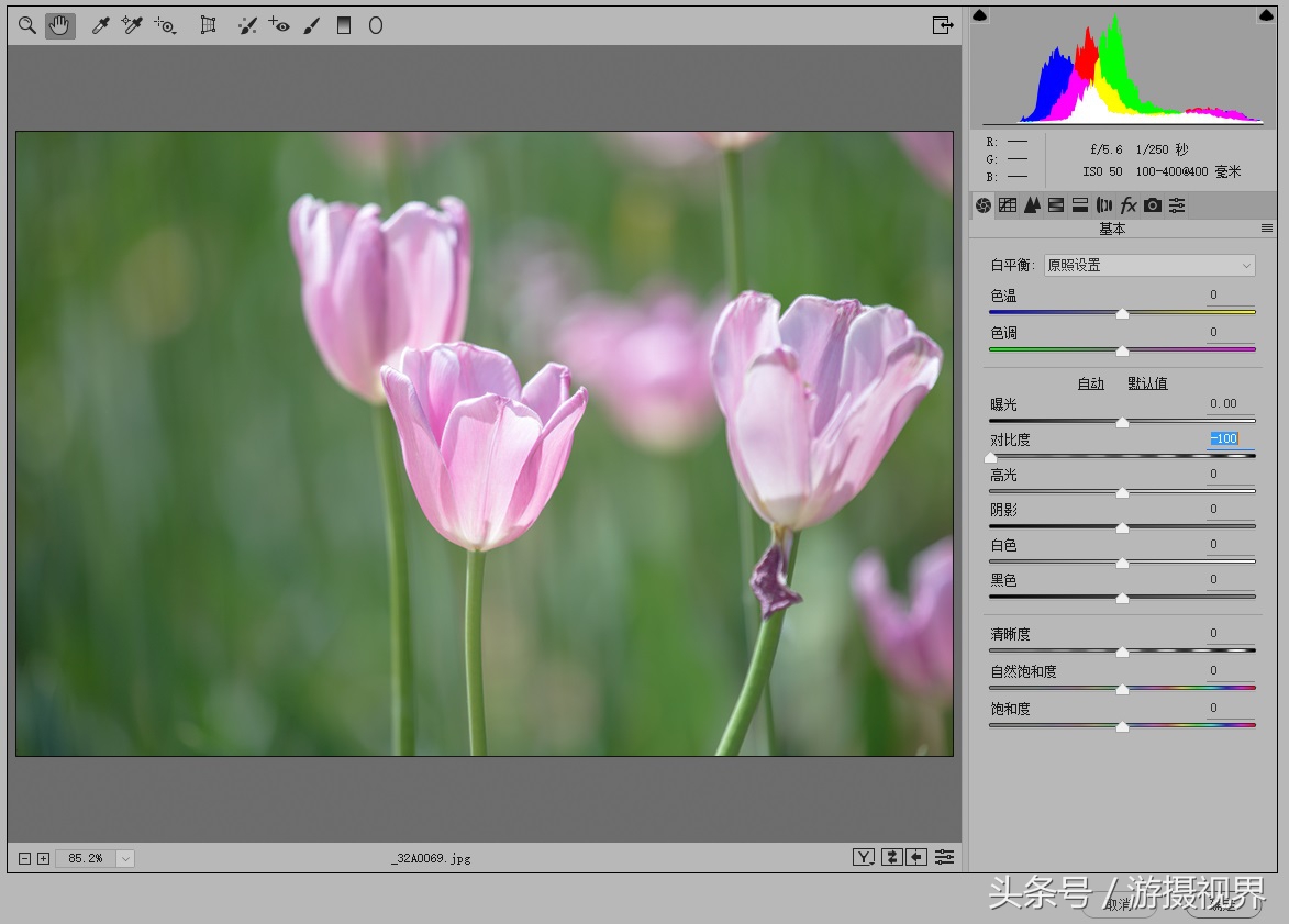 cameraraw直方图教程,cameraraw如何导出最优画质jpg