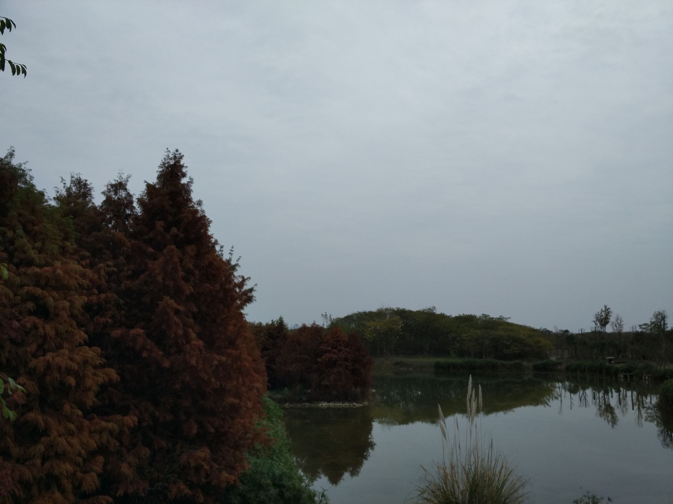 goodwellbetterbest分别的用法,goodbetterbest的意思