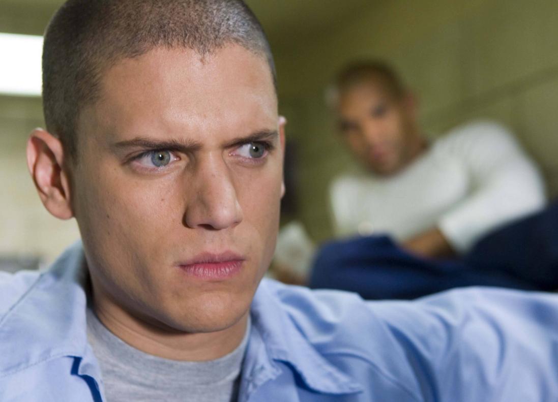 美剧越狱第一季到第五季,越狱第五季深度解析