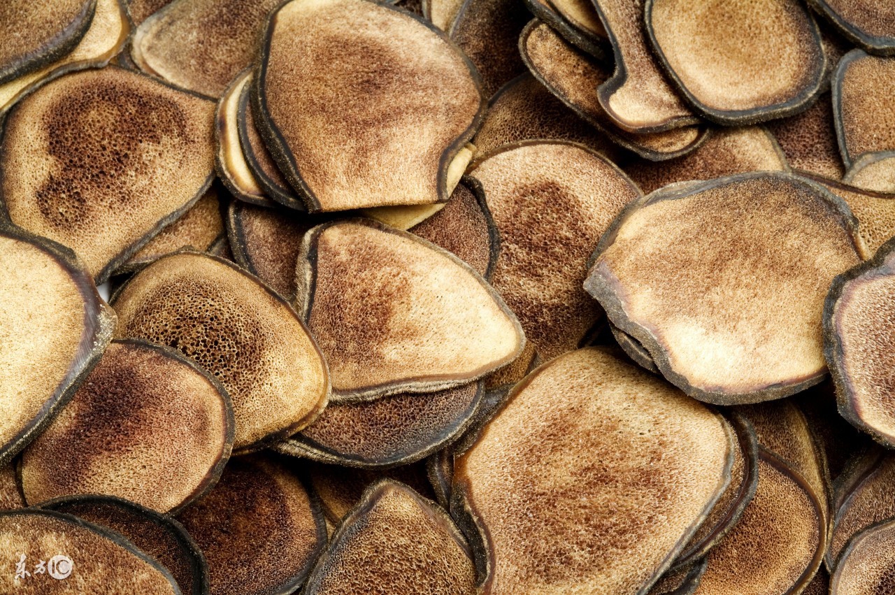 鹿茸与枸杞泡水的功效与功能吃法,云南鹿茸菇的功效与功能吃法大全