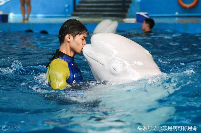 国内合适孩子去的主题乐园,国内好玩的主题乐园有哪些