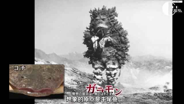 所有的奥特曼早期时候的样子,回顾十几年前看过的奥特曼