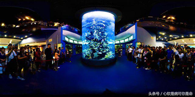 国内合适孩子去的主题乐园,国内好玩的主题乐园有哪些