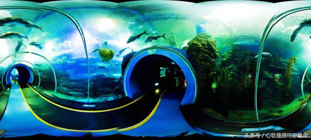 国内合适孩子去的主题乐园,国内好玩的主题乐园有哪些