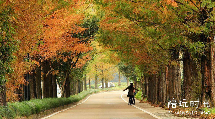 杭州哪里合适带小孩子去玩,杭州值得带孩子去玩的地方