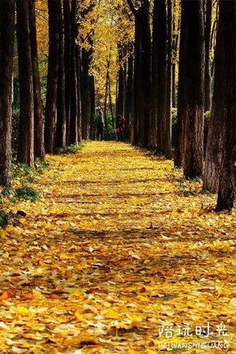 杭州哪里合适带小孩子去玩,杭州值得带孩子去玩的地方