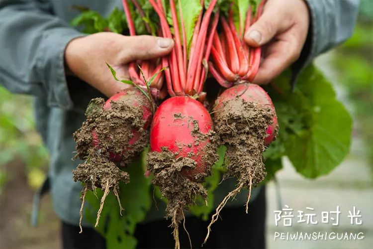 杭州哪里合适带小孩子去玩,杭州值得带孩子去玩的地方