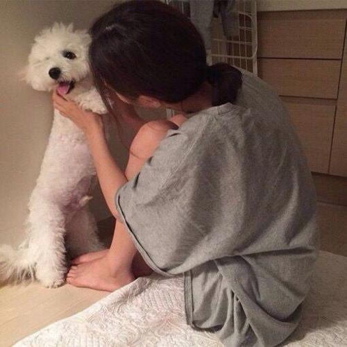 第一次养狗狗什么狗狗好养,合适情侣养的狗中型犬