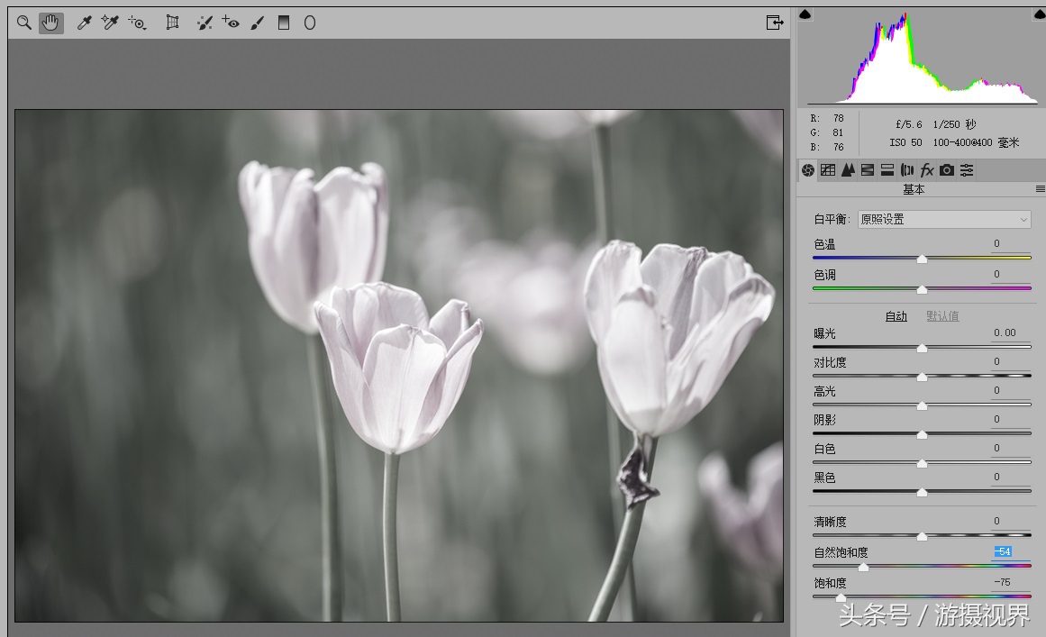 cameraraw直方图教程,cameraraw如何导出最优画质jpg