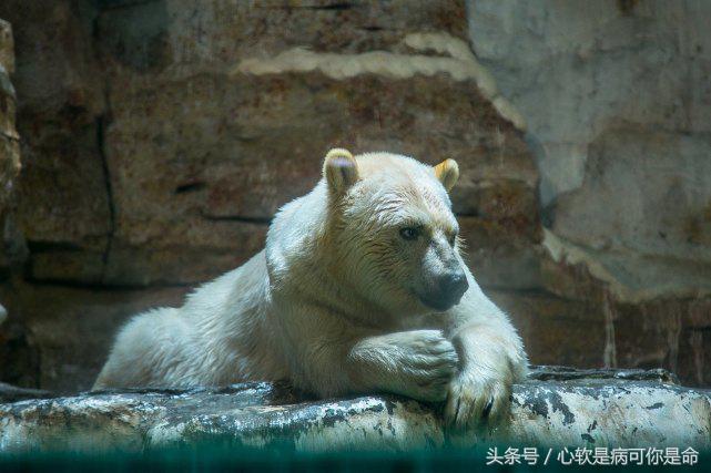 国内合适孩子去的主题乐园,国内好玩的主题乐园有哪些