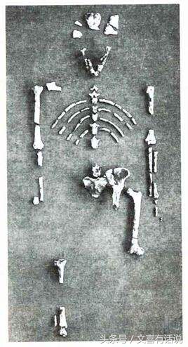 达尔文进化论很多现象解释不通,达尔文进化论是最大的伪科学吗