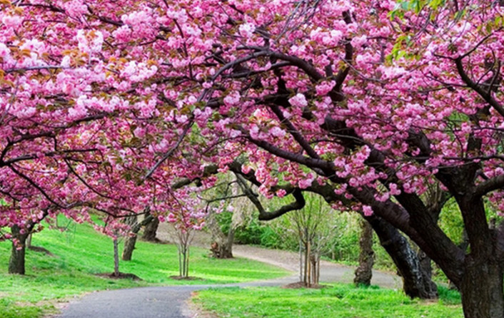 同事说烦怎么幽默回复,同事老抱怨你怎么回复