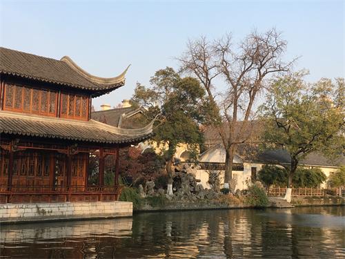 这棵银杏树，经历过湘军烧毁太平天国天王府的那把大火吗？