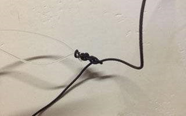 钓鱼新手怎么选择鱼线,钓鱼新手如何选择鱼线