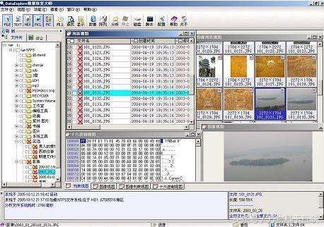u盘文件误删怎么真正免费恢复,u盘误删数据恢复免费