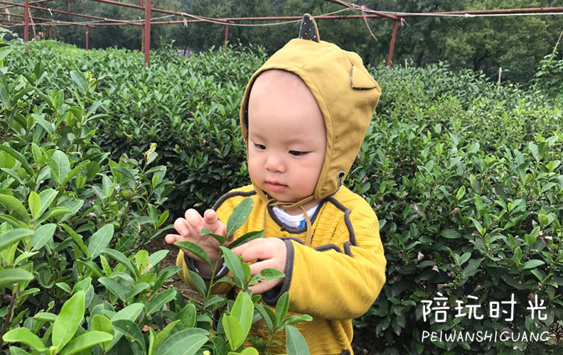 杭州哪里合适带小孩子去玩,杭州值得带孩子去玩的地方