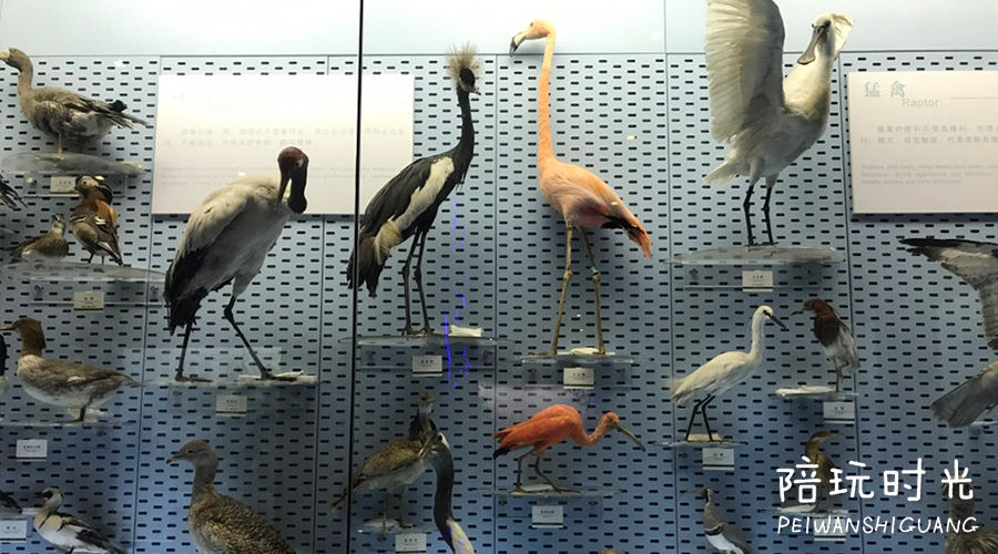 杭州哪里合适带小孩子去玩,杭州值得带孩子去玩的地方