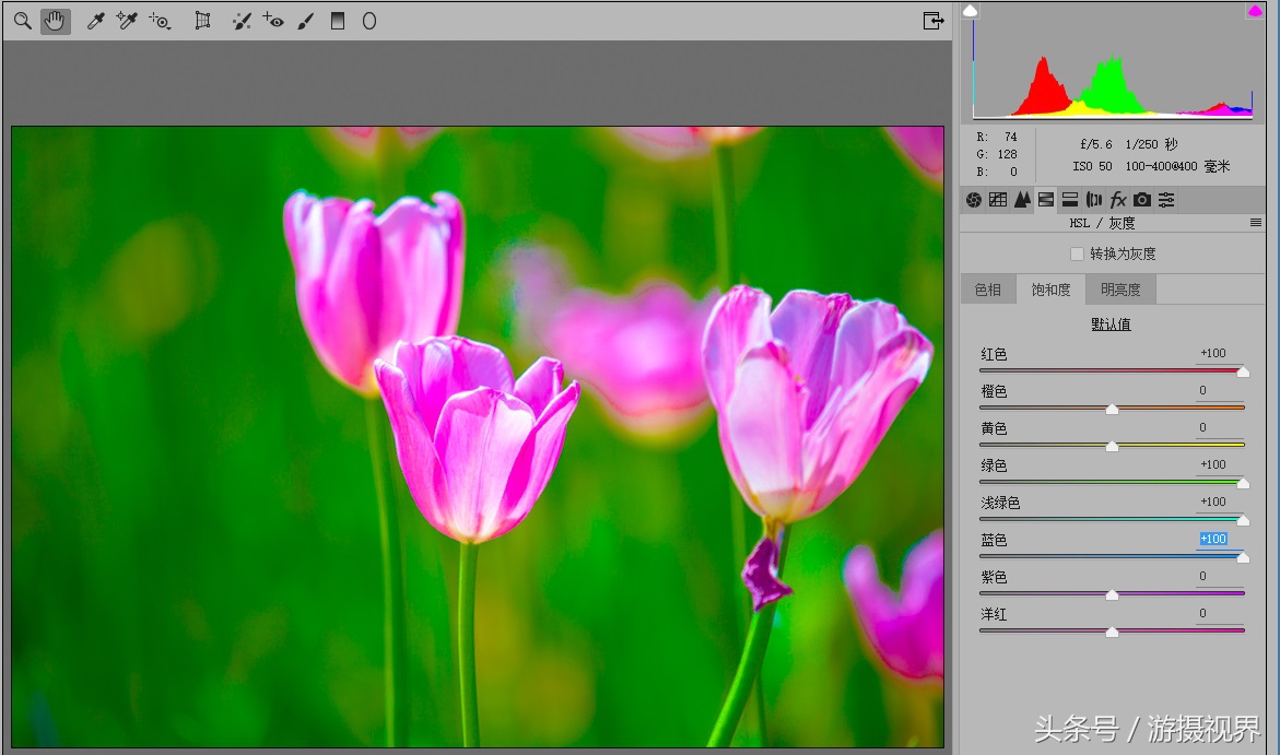 cameraraw直方图教程,cameraraw如何导出最优画质jpg