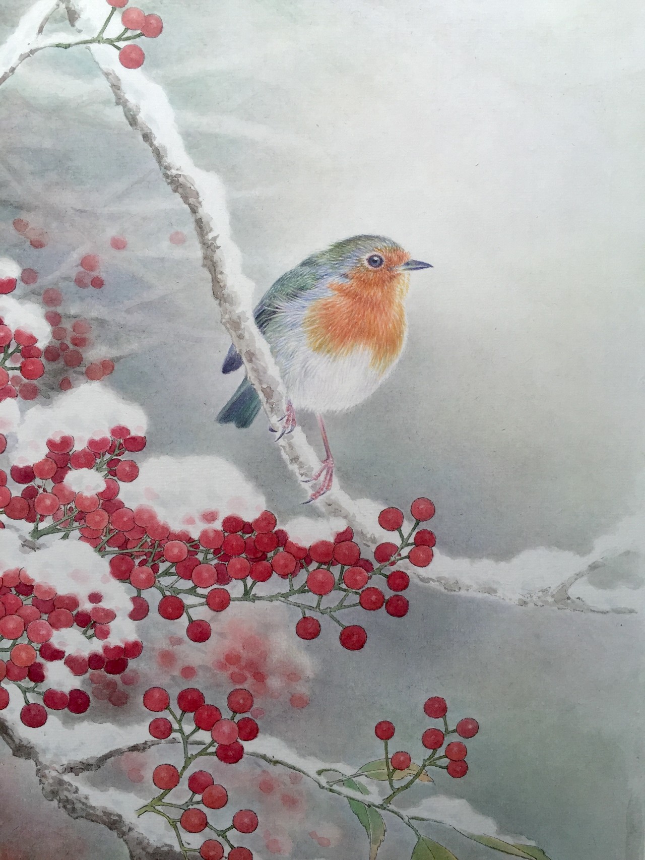 邢诚爱工笔猫扑蝶画法,邢诚爱工笔画猫白描底稿